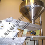 NETTER���(d��ng)���(d��ng)������